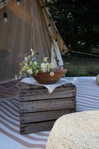 尼堡的住宿－BohoFyn，坐在桌子顶上的木碗花