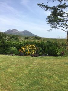 Paesaggio naturale nelle vicinanze del bed & breakfast