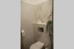 Kúpeľňa v ubytovaní RP2 Apartment