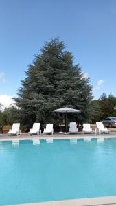 a group of white chairs and an umbrella in a pool at Tenuta Bardi in Villa Baldassarri