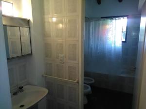 La salle de bains est pourvue d'un lavabo, de toilettes et d'une douche. dans l'établissement Mendoza Departamento 4 o 5 personas, à Mendoza