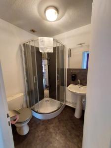 Koupelna v ubytování Hôtel le Comtois + 37 fotografií