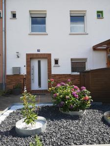 Gallery image of Ferienwohnung Palatina Annweiler in Annweiler am Trifels