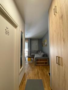 ABV Apartments في بودغوريتسا: إطلالة على غرفة معيشة مع أريكة وغرفة معيشة