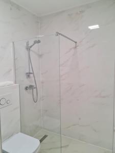 Kúpeľňa v ubytovaní Kolibri Apartman + 26 fotografií