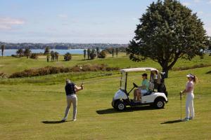 奧克蘭的住宿－Rydges Formosa Auckland Golf Resort，一群人用高尔夫球车打高尔夫