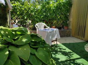 einen Tisch und Stühle in einem Garten mit Pflanzen in der Unterkunft Casa "Albero Verde" in Raffo