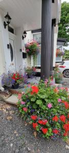 a bunch of flowers in front of a house at Aarondale Guest House in Hartlepool