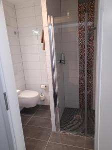 a bathroom with a toilet and a glass shower at Gästehaus Weinberge in Elsterwerda