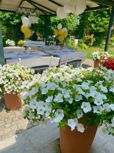 Ogród w obiekcie Villa Siesta