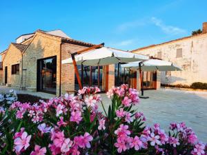 um grupo de flores cor-de-rosa em frente a um edifício em Tenuta Coppa Zuccari em Citta' Sant'Angelo