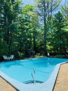 a large blue swimming pool with trees in the background at Stay Berkshires in Williamstown