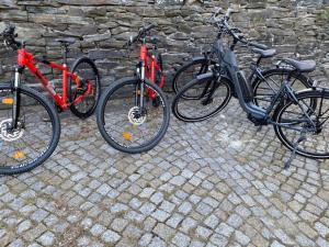 Ciclism la sau în apropiere de Gästehaus Weinberge