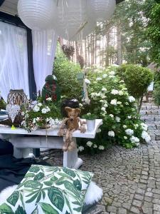 Ogród w obiekcie Villa Siesta