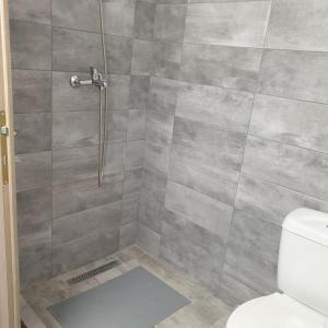 ein Bad mit einer Dusche und einem WC in der Unterkunft Casa Margareta in Eforie Sud