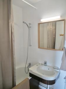 ein Bad mit einem Waschbecken, einer Dusche und einem Spiegel in der Unterkunft Plage Cabourg 5bis in Cabourg