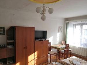 Televízia a/alebo spoločenská miestnosť v ubytovaní Apartmány v centru u Moravců