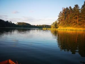 a view of a lake with trees on the shore at EKO Domek u Siemion in Raczki
