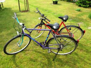 zwei Fahrräder, die nebeneinander auf dem Rasen geparkt sind in der Unterkunft Ferienwohnung Salzwedel in Salzwedel