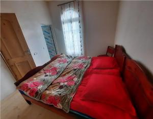 Adishi的住宿－Nino & Tarzan Guesthouse，窗户客房内的一张红色的床