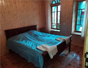 Adishi的住宿－Nino & Tarzan Guesthouse，一间卧室配有一张带蓝色床单的床和两个窗户。