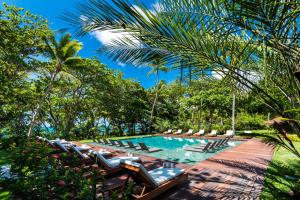 a swimming pool with lounge chairs and trees at Tivoli Ecoresort Praia do Forte in Praia do Forte