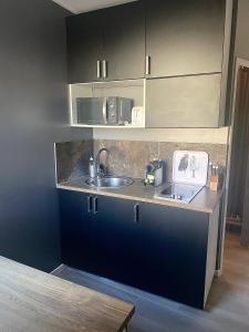 cocina con fregadero y encimera en Studio Magali, en Tarascon