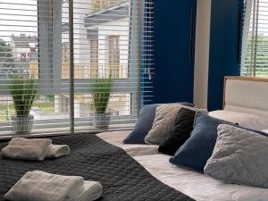 1 cama en un dormitorio con paredes y ventanas azules en Family & Business Elegant Apartments Wspólna Centrum Downtown - 1 Bedroom, Terrace, Air Conditioning, Garage, NEW! en Kielce