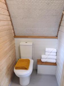 a bathroom with a toilet and a pile of towels at Tan-y-Dderwen Pod in Machynlleth