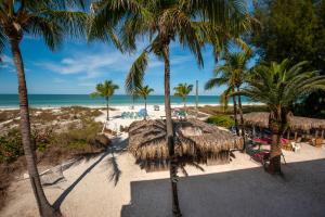 a beach with palm trees and palm trees at Cedar Cove Resort & Cottages in Holmes Beach
