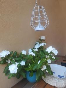 een plant in een blauwe vaas naast een licht bij Camera romantica nel carugio in Riomaggiore