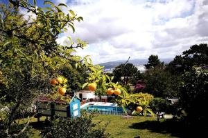 Bazén v ubytovaní Villa Abad, finca rústica con casa y piscina alebo v jeho blízkosti