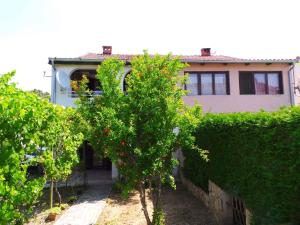 a house with a hedge and a tree with red berries at Apartment in Valbandon/Istrien 8608 in Štinjan