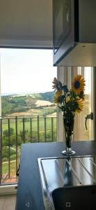 een vaas met bloemen op een aanrecht met een raam bij La casa di Isola in Peccioli