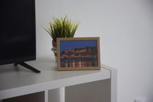 Fotografie z fotogalerie ubytování Feel Danube apartment v destinaci Zemun