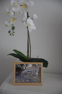 Fotografie z fotogalerie ubytování Feel Danube apartment v destinaci Zemun