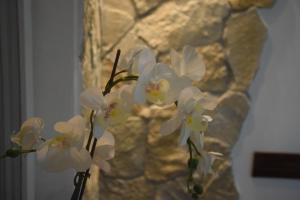 Fotografie z fotogalerie ubytování Feel Danube apartment v destinaci Zemun