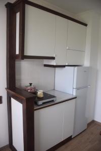 Kuchyň nebo kuchyňský kout v ubytování Feel Danube apartment