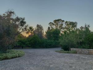 un vialetto di ghiaia con alberi e un tramonto sullo sfondo di Villa Olivia a Tricase