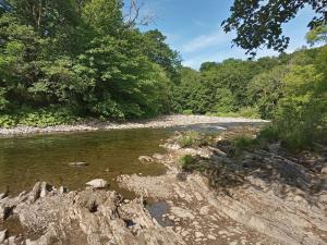 une rivière avec des rochers dans l'eau et des arbres dans l'établissement Hill View Studio, à Hawick