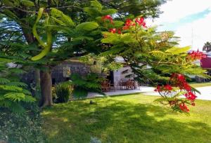テワカンにあるHotel Villablancaの赤い花の木のある庭