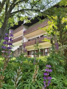 um jardim com flores roxas em frente a um edifício em Korlape Apartman 4.2 em Wolfsberg