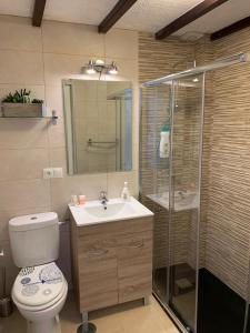 łazienka z toaletą, prysznicem i umywalką w obiekcie Apartament Benalmadena Puerto Marina w mieście Benalmádena