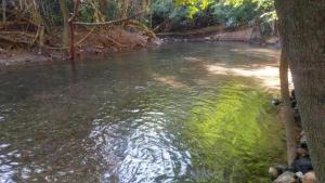 ein Fluss mit grünem Wasser und Bäumen im Hintergrund in der Unterkunft Temporada Resort Park Veredas com rio quente ao fundo in Rio Quente