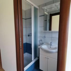 Koupelna v ubytování House ŠPILJAR + 21 fotografií