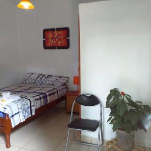 1 dormitorio con 1 cama, 1 silla y 1 planta en Backpacker Kitara House, en Tarapoto