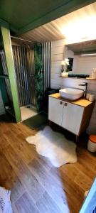 un bagno con lavandino e specchio di Cabane 5km Etretat a Villainville