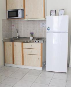 Kuchyň nebo kuchyňský kout v ubytování Iason Apartments