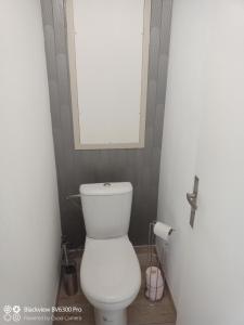 uma casa de banho com um WC branco e um espelho. em L'annexe em Courseulles-sur-Mer