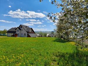 a house on a field of green grass with yellow flowers at Pensiunea Obcina Mare in Cacica